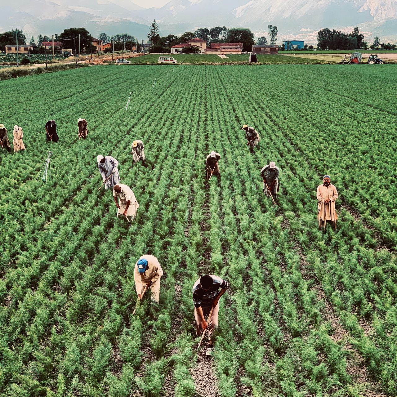 Agriculture
